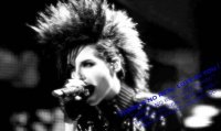 General photo of Bill Kaulitz