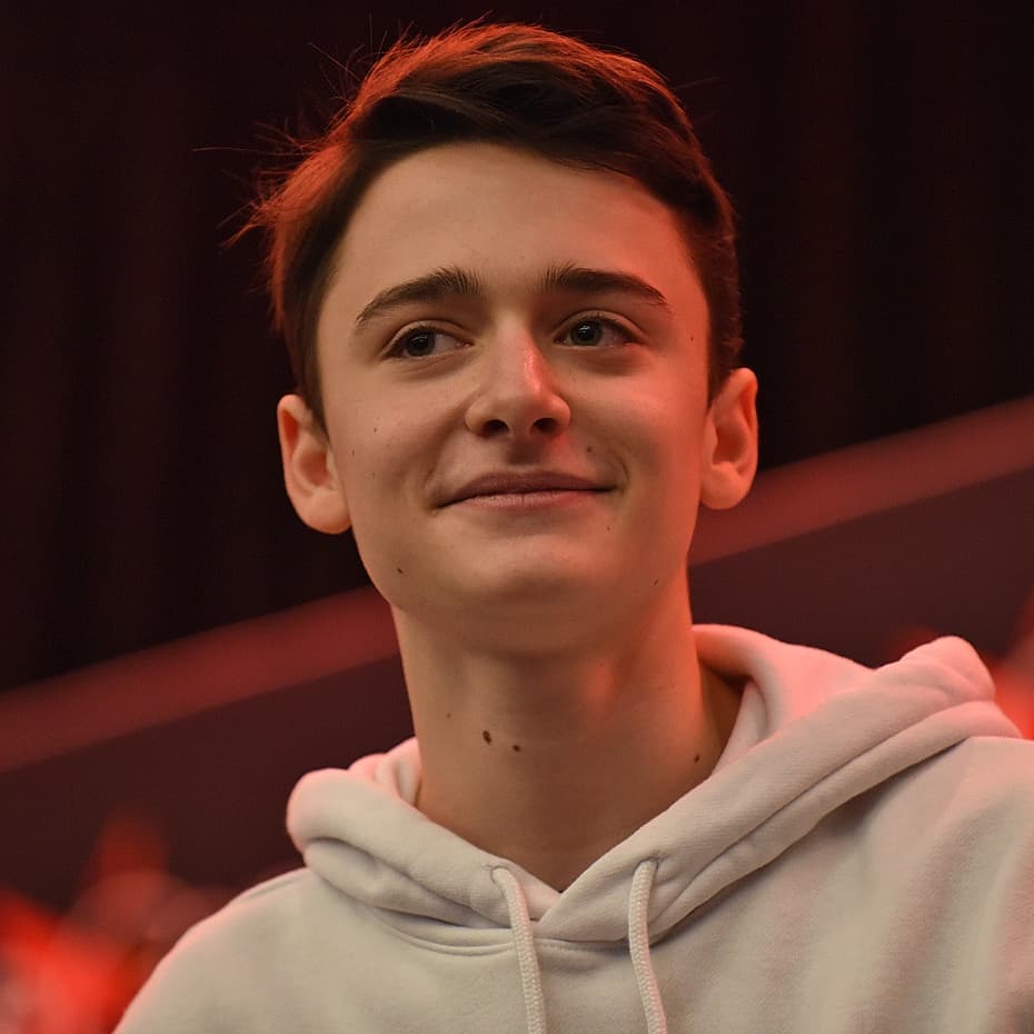 funko de noah schnapp