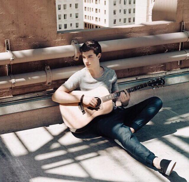 shawn mendes in sweatpants