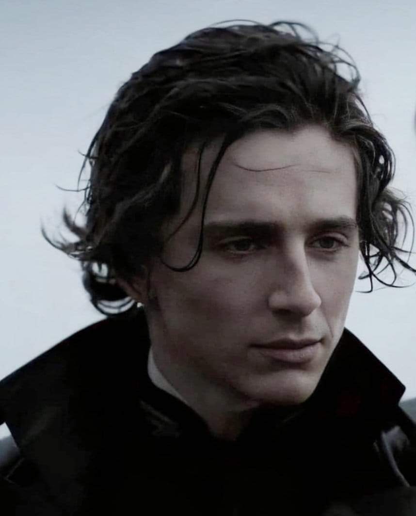 dune funko pop timothee chalamet