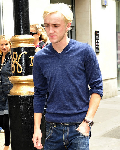 tom felton - junglekey.com image