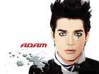 Adam Lambert : adam-lambert-1329166074.jpg