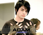 Adam Lambert : adam-lambert-1332354172.jpg