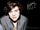 Harry Styles : harry-styles-1325181337.jpg