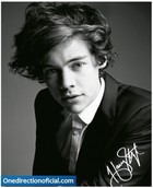 Harry Styles : harry-styles-1364794018.jpg