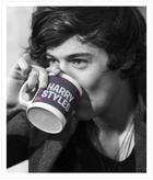 Harry Styles : harry-styles-1378060238.jpg