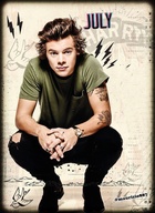 Harry Styles : harry-styles-1426354936.jpg