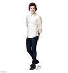 Harry Styles : harry-styles-1429118293.jpg