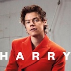 Harry Styles : harry-styles-1494617758.jpg