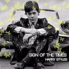 Harry Styles : harry-styles-1496005335.jpg