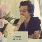 Harry Styles : harry-styles-1497205533.jpg