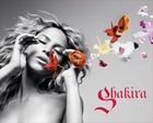 Shakira : Shakira_1258067726.jpg