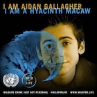 Aidan Gallagher : aidan-gallagher-1492199091.jpg