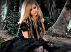 Avril Lavigne : avril-lavigne-1337391274.jpg