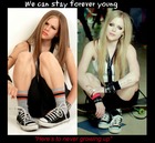 Avril Lavigne : avril-lavigne-1368167003.jpg