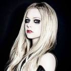 Avril Lavigne : avril-lavigne-1376420225.jpg