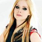 Avril Lavigne : avril-lavigne-1379109896.jpg