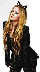Avril Lavigne : avril-lavigne-1380905097.jpg