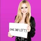 Avril Lavigne : avril-lavigne-1383005920.jpg