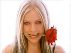 Avril Lavigne : avril_lavigne_1259827836.jpg