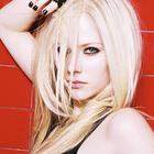 Avril Lavigne : avril_lavigne_1266476637.jpg