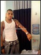 Chris Brown : chris_brown_1230833440.jpg