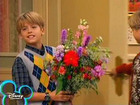 Cole & Dylan Sprouse : cole_dillan_1216611970.jpg