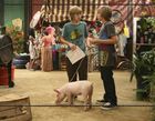 Cole & Dylan Sprouse : cole_dillan_1222746048.jpg
