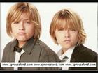 Cole & Dylan Sprouse : cole_dillan_1228150276.jpg