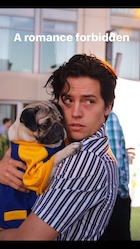Cole Sprouse : cole-sprouse-1500893641.jpg
