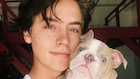 Cole Sprouse : cole-sprouse-1501770961.jpg