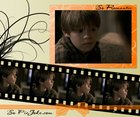 Colin Ford : colin-ford-1320431427.jpg