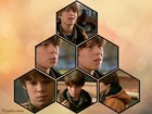 Colin Ford : colin-ford-1331402879.jpg