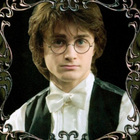 Daniel Radcliffe : 2788harry.jpg