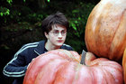 Daniel Radcliffe : TI4U_u1137957748.jpg