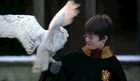 Daniel Radcliffe : hp019.jpg