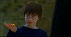 Daniel Radcliffe : hpharry008.jpg