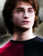 Daniel Radcliffe : profileHarry.jpg