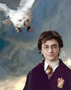 Daniel Radcliffe : wb26.jpg