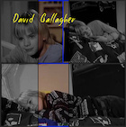 David Gallagher : david-gallagher-1469545047.jpg