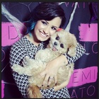Demi Lovato : demi-lovato-1416257155.jpg
