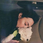 Demi Lovato : demi-lovato-1419877250.jpg