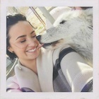 Demi Lovato : demi-lovato-1454381759.jpg