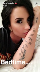 Demi Lovato : demi-lovato-1468102219.jpg