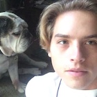 Dylan Sprouse : dylan-sprouse-1439959801.jpg