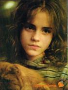 Emma Watson : emma_watson_1172424852.jpg