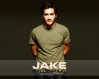 Jake Gyllenhaal : jake_gyllenhaal_1229319612.jpg