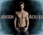 Jensen Ackles : jensen_ackles_1299256161.jpg