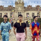 Jonas Brothers : jonas-brothers-1551391441.jpg