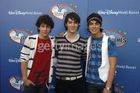 Jonas Brothers : jonas_brothers_1190380890.jpg